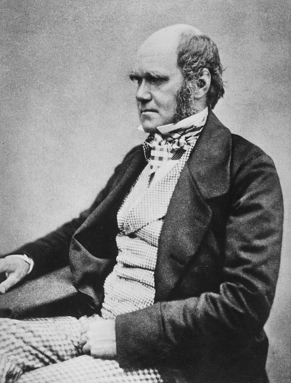 Portrait of Darwin
