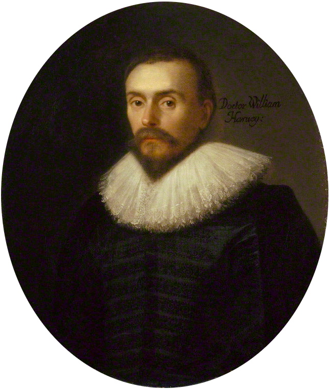 Portrait of Harvey